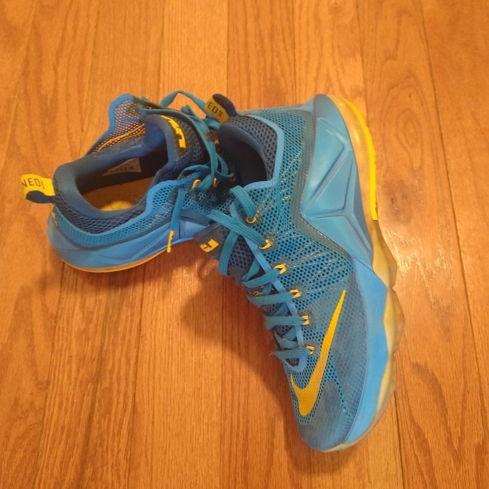 Nike labron 12 low entourage